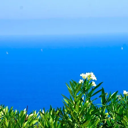 Petale De Rose Cavalaire-sur-Mer